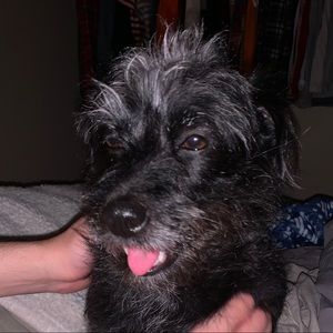 Meet your Posher, Jose